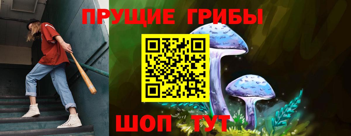 Красноармейск  Псилоцибиновые грибы ЛСД  Вход с VPN 